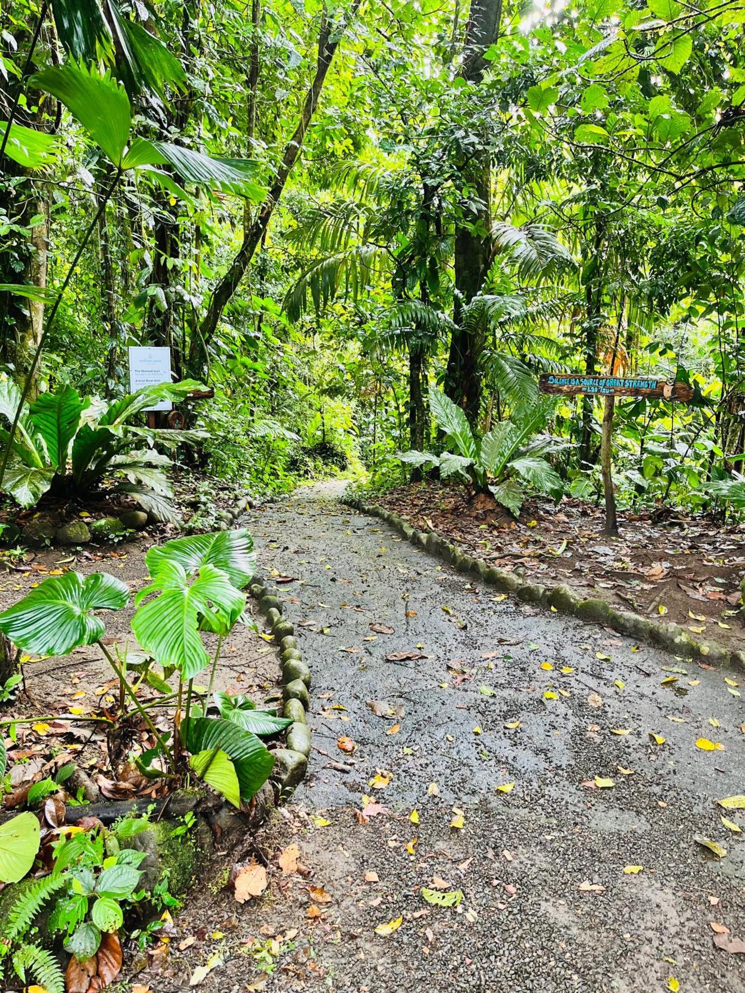 Wellness Park Cr La Fortuna Exterior foto