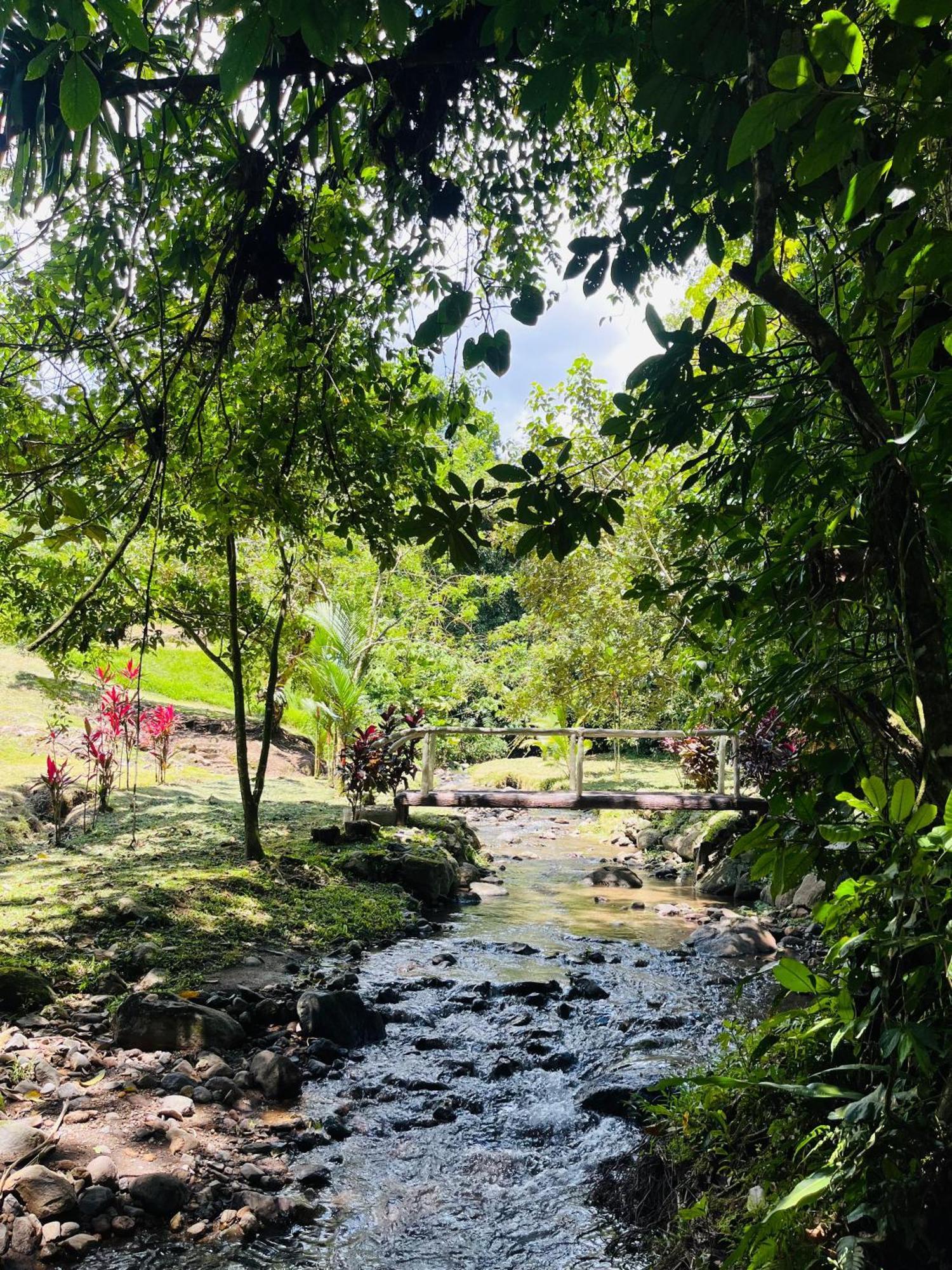 Wellness Park Cr La Fortuna Exterior foto